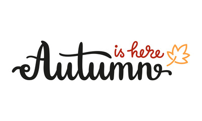 Autumn is here handwritten lettering phrase isolated on white background. Vector calligraphy template for seasonal design. Fall quote for social media, card, web banner or print.