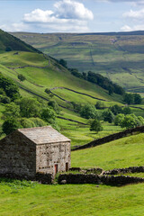 Traditional dry-stone wall and stone barns in the countryside of the Yorkshire Dales - England