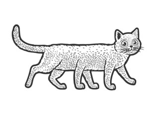 six legged cat sketch raster illustration