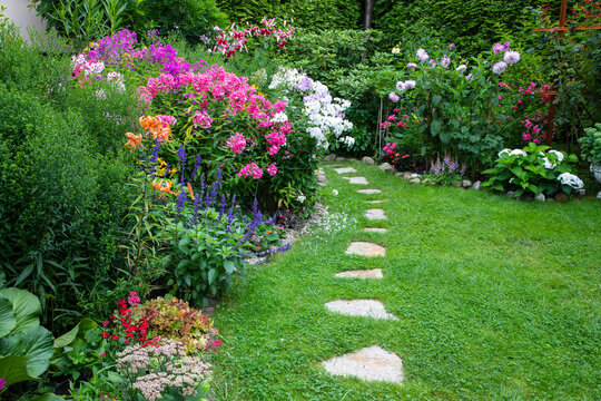 Garden with blooming flowers in the middle of the summer