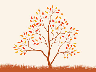 Fototapeta premium Autumn big tree. Autumn dry leave and nature branch plant vector illustration.
