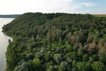 Aerial panoramic view of huge river, green pine forest near the river. Summer morning. Panoramic landscape.