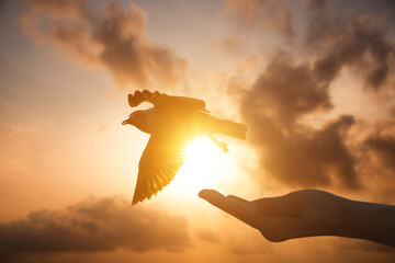 Close up image silhouette hand of woman praying and free bird enjoying nature on sunrise and...