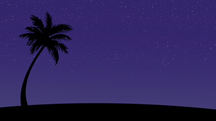 palm(midnight)