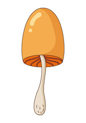Vector Illustration of Poisoned Mushroom in a Flat Style. Vector Illustration