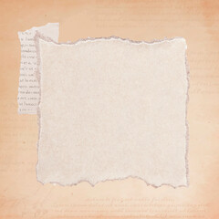 Torn old beige paper background vector