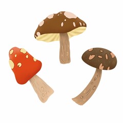 Raster set of mushrooms. Autumn mushrooms of red, brown colors. Amanita, boletus, honey agarics isolated on white background