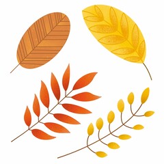 Set of autumn leaves and branches, red, yellow, brown isolated on a white background. Rowan and ash leaves.