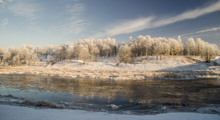 Venta river and frozen trees in sunny winter day, Kuldiga, Latvia.