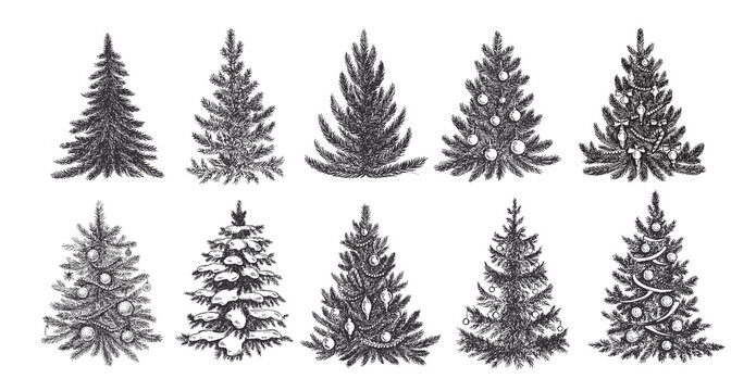 Christmas tree, hand drawn style, vector illustration	