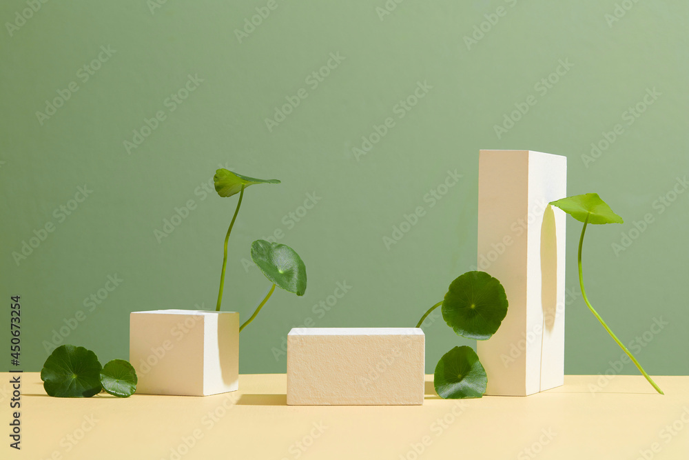 Wall mural Background green with podium. Stand to show cosmetic products. Centella asiatica