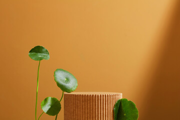 Empty platform for cosmetics bottle containers with centella asiatica ingredient. Brown Background...