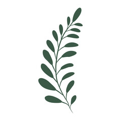 Green branch with leaves, vector illustration.