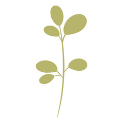 Obraz premium Green branch with small leaves
