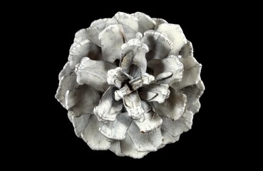 The bump is large on a black background. Top view