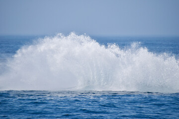 waves on the beach