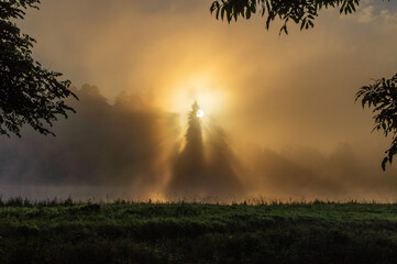 Park Pałacowy w Białowieży, Podlasie, Polska