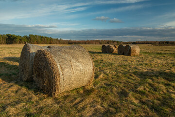 Hay bales in the meadow and cloudy sky