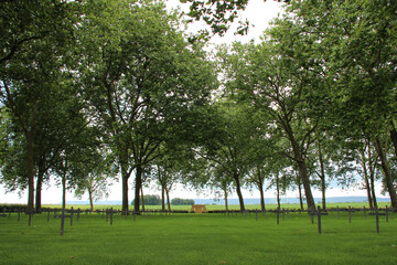 german military cemetery in maizeray in lorraine (france)