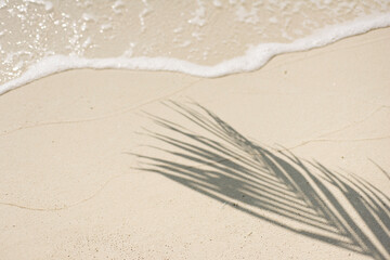 Fototapeta na wymiar Soft sea wave on sandy beach with palm leaf shadow