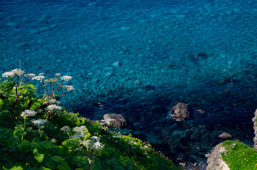 夏の神威岬からの積丹ブルー