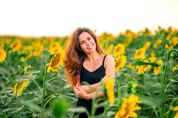 A charming young woman in a dress in a field of sunflowers. A beautiful concept of a summer holiday