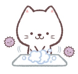 手を洗って除菌するシロネコ © kino