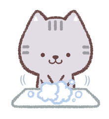 手を洗うネコ