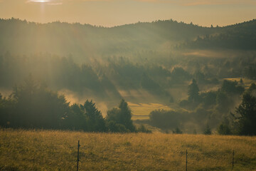 Early morning view of hills and forests in romantic mist and haze on warm summer morning on Strmca, slovenia