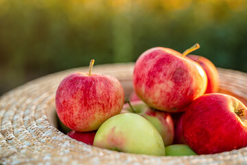 Apples in a straw hat at sunset