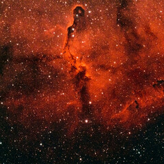 The dark interstellar gas and dust nebula Elephant's Trunk Nebula 