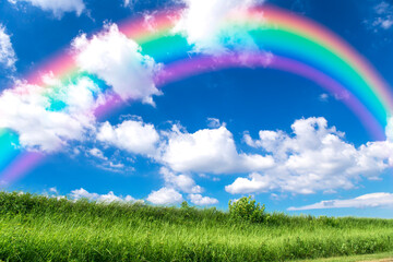 草原と青空に架かる虹。