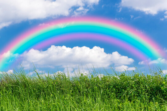 草原と青空に架かる虹。