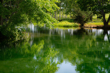 Fototapeta na wymiar 夏の羊蹄山の麓の池リフレ