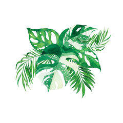 Monstera and palm leaf bouquet. Hand drawn watercolor illustration.