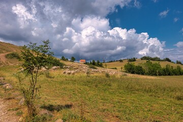 Landschaft auf dem Walberle mit Schafherde