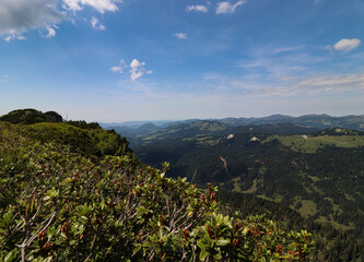 Alpenpanorama im Oberallg&auml;u