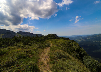 Alpenpanorama im Oberallgäu