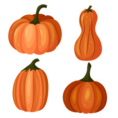 Vector set of four pumpkins in a cartoon style. A set for Halloween. Collection for Thanksgiving