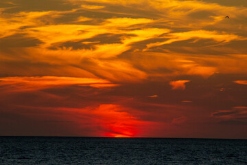Le couché du soleil face à la mer. 