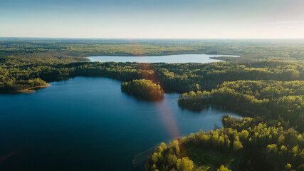 Aerial drone photo of green tree crones growing in lake shore. Nature landscape. Top view of a forest lake. Travel concept.