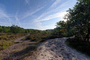  Vaudoué to Melun path in the Fontainebleau forest
