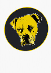 american staffordshire terrier