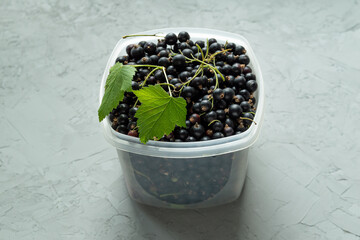 fresh organic black currant in a plastic container