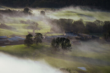 Obraz na płótnie Canvas Irish rural nature in morning haze