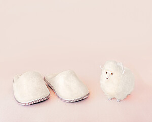 Wool sheep and warm sheep wool slippers.