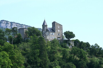 Le château de Châtillon dans le département de la Savoie en France - obrazy, fototapety, plakaty