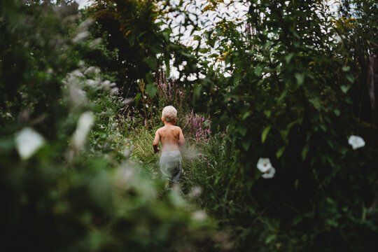 Back view of blonde child walking on hiking trail among green plants