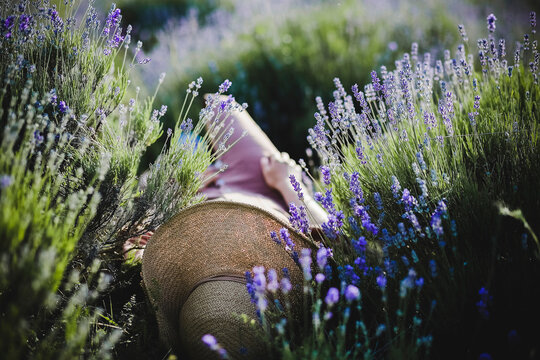 The image of a woman who lies among the flowering lavender bushes