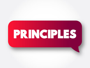 Principles text message bubble, business concept background